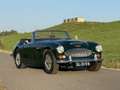Austin-Healey 3000 MKIII Ph2 in prachtige staat met zeer veel goede o Grün - thumbnail 25