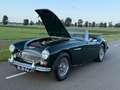 Austin-Healey 3000 MKIII Ph2 in prachtige staat met zeer veel goede o Grün - thumbnail 15