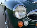 Austin-Healey 3000 MKIII Ph2 in prachtige staat met zeer veel goede o Grün - thumbnail 13