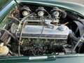 Austin-Healey 3000 MKIII Ph2 in prachtige staat met zeer veel goede o Grün - thumbnail 18