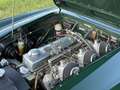 Austin-Healey 3000 MKIII Ph2 in prachtige staat met zeer veel goede o Grün - thumbnail 16