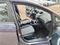 Ford Fiesta Champions Edition/2Hd./Gepflegter Zustand Gris - thumbnail 10