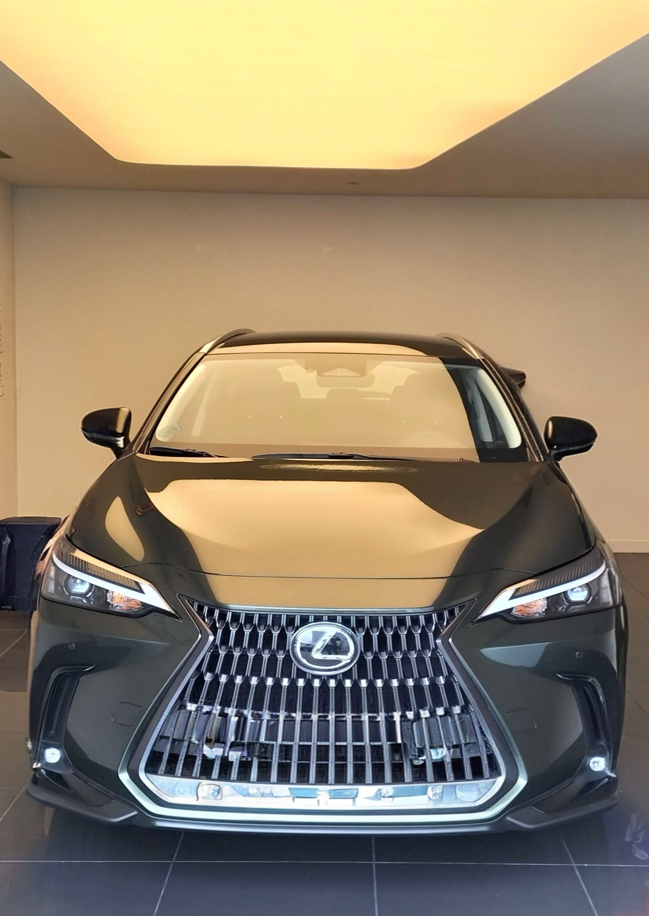 Lexus NX 350h NX 350h Business City 2WD Business City - foto 1