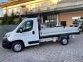 Fiat Ducato 34   2.3 MTJ 130 CV CASSONATO 3,20 METRI Blanc - thumbnail 1