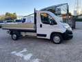 Fiat Ducato 34   2.3 MTJ 130 CV CASSONATO 3,20 METRI Blanc - thumbnail 2