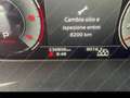 Audi A4 allroad 40 TDI 204 CV S tronic Business Evolution Grigio - thumbnail 7