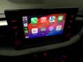 Kia Ceed SW / cee'd SW Sportswagon 1.0 T-GDi DynamicLine 1E EIGN/ECC/STOE Verde - thumbnail 17