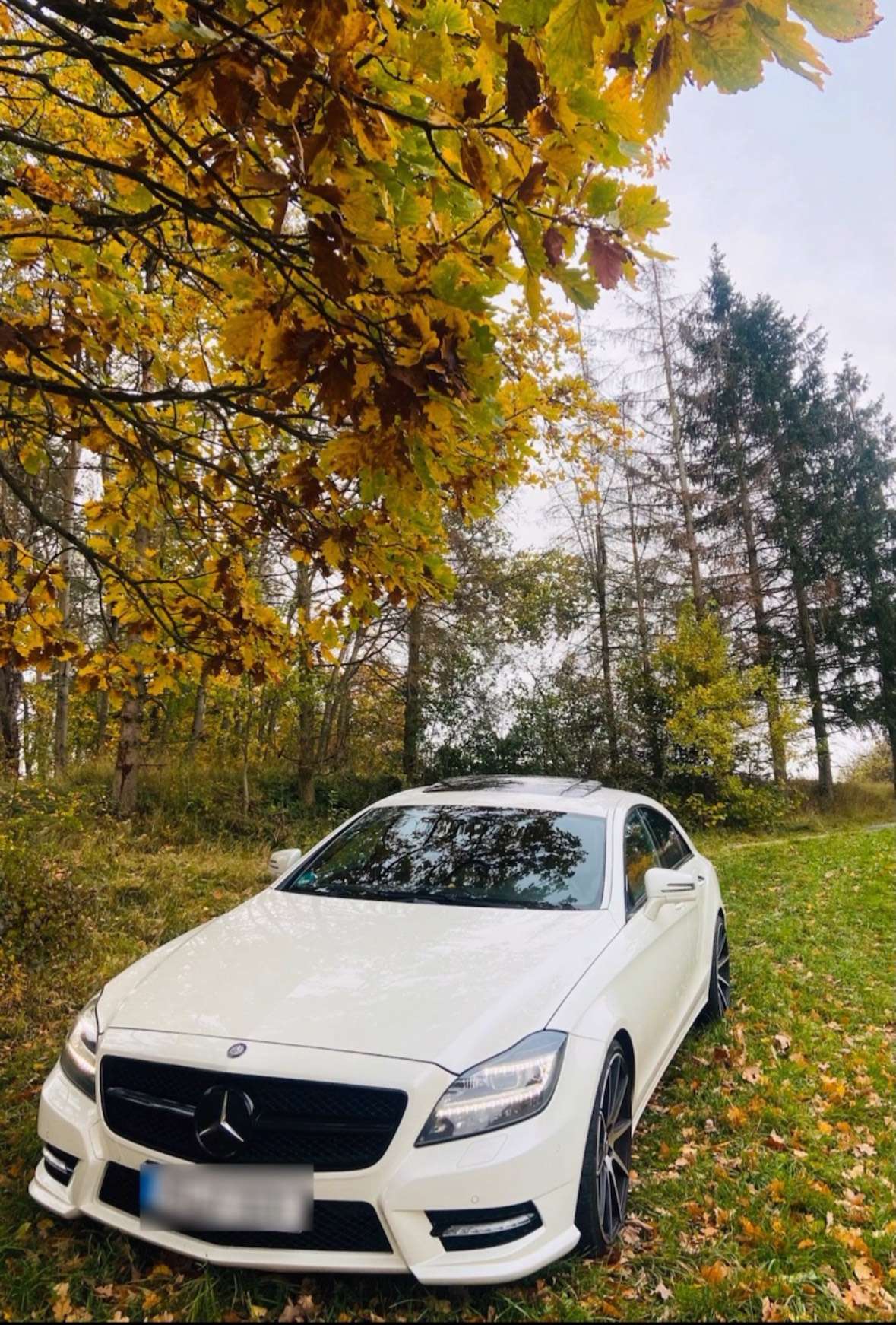 Second hand Mercedes Benz Cls-Class 
