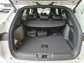 BYD Seal U DM-i Comfort Weiß - thumbnail 5