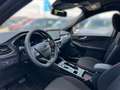 Ford Kuga Plug-In Hybrid ST-Line Kamera, LED-Scheinw. Schwarz - thumbnail 8