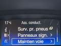 Ford Focus ST 2,0 250 GPS APPLE CARPLAY FEUX HALOGENE KEYLESS PARK PILOT PACK HIVER RECARO BLUETOOTH EXCE Bleu - thumbnail 13