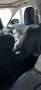 Jeep Compass 1.6 mjt Limited 120cv UNICA INTROVABILE STRAFULL! Nero - thumbnail 8