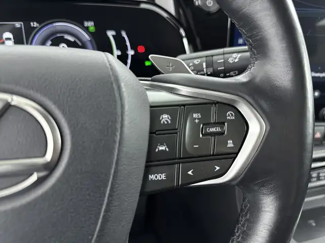 Lexus NX view 14