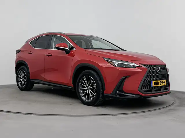 Lexus NX view 12