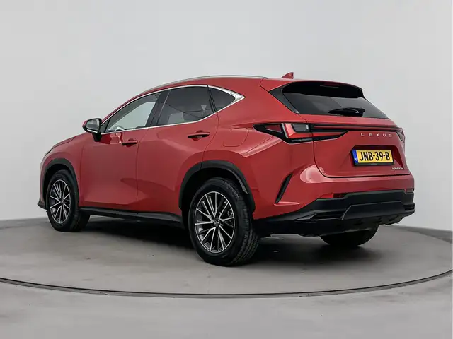 Lexus NX view 13