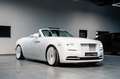 Rolls-Royce Dawn *Matt White* Charles Blue Leather* 22" Weiß - thumbnail 1