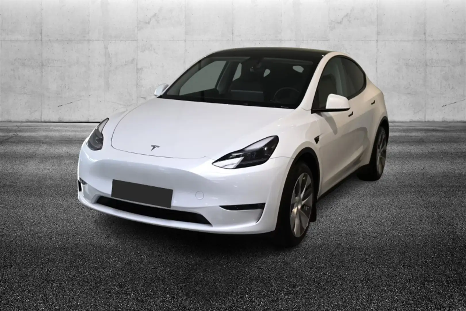 Tesla Model Y Long Range AWD Blanc - 1