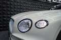 Bentley Continental GTC 100Jahre Edition Mulliner Weiß - thumbnail 4