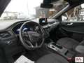 Ford Kuga 2.5 phev ST-Line X 2wd 225cv cvt Bianco - thumbnail 4