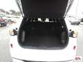 Ford Kuga 2.5 phev ST-Line X 2wd 225cv cvt Bianco - thumbnail 7