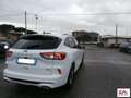Ford Kuga 2.5 phev ST-Line X 2wd 225cv cvt Bianco - thumbnail 8