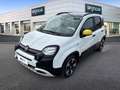 Fiat Panda 1.0 FireFly 70cv S&S Hybrid Pandina Bianco - thumbnail 1