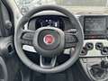 Fiat Panda 1.0 FireFly 70cv S&S Hybrid Pandina Bianco - thumbnail 13