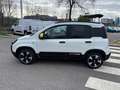 Fiat Panda 1.0 FireFly 70cv S&S Hybrid Pandina Bianco - thumbnail 2