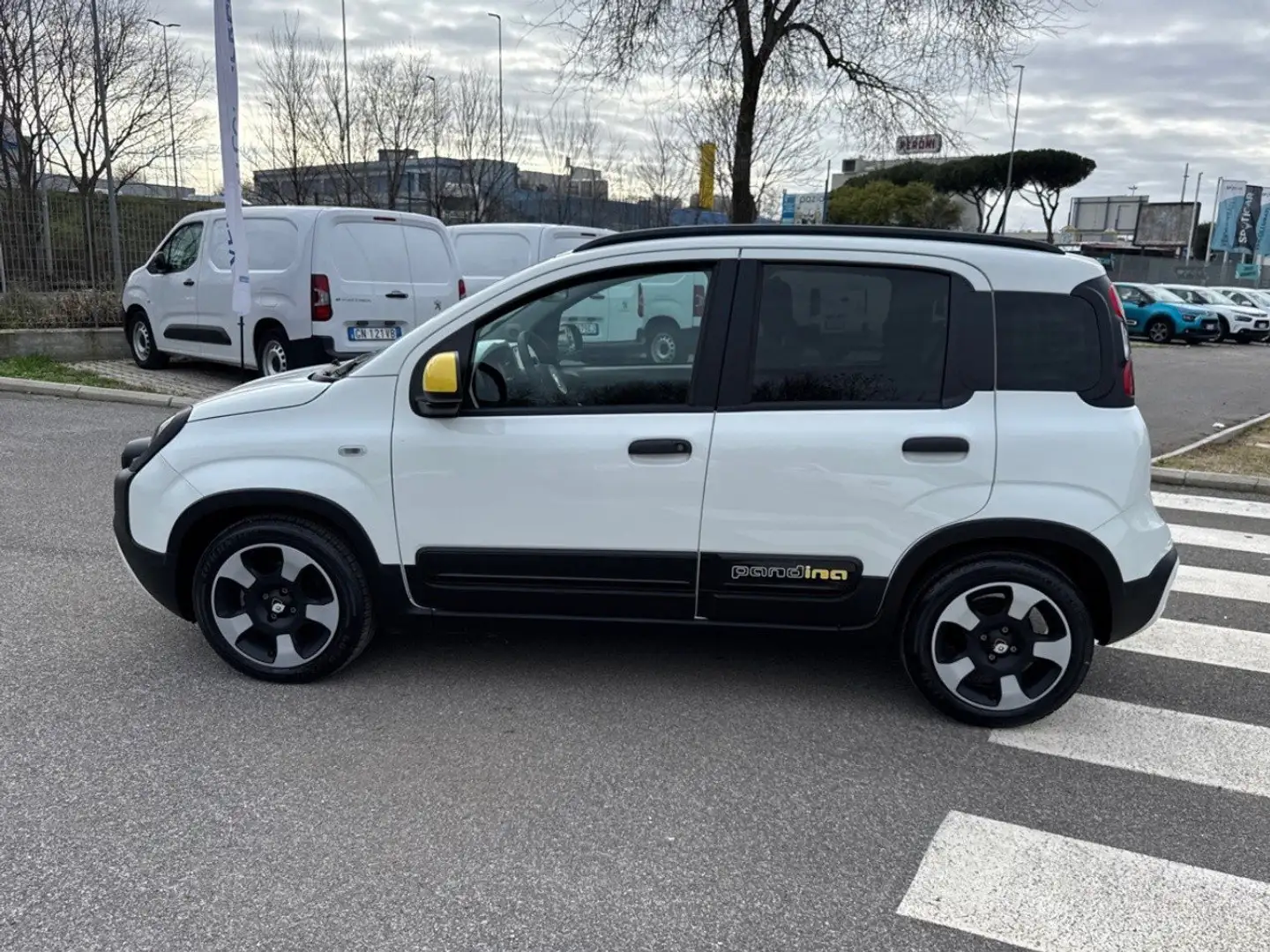 Fiat Panda 1.0 FireFly 70cv S&S Hybrid Pandina Bianco - 2