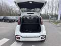 Fiat Panda 1.0 FireFly 70cv S&S Hybrid Pandina Bianco - thumbnail 11