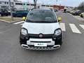 Fiat Panda 1.0 FireFly 70cv S&S Hybrid Pandina Bianco - thumbnail 6
