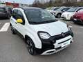 Fiat Panda 1.0 FireFly 70cv S&S Hybrid Pandina Bianco - thumbnail 5