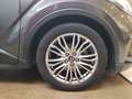 Toyota C-HR C-HR 2.0h Premiere e-cvt Gris - thumbnail 6