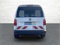 Volkswagen Caddy 2.0 TDI*DSG*Leder*Standheizung* Bianco - thumbnail 5