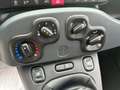 Fiat Panda Panda 1.2 Pop 69cv Bianco - thumbnail 10