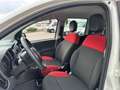Fiat Panda Panda 1.2 Pop 69cv Bianco - thumbnail 7