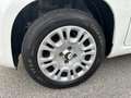 Fiat Panda Panda 1.2 Pop 69cv Bianco - thumbnail 13