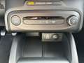 Ford Focus Titanium Edition Turnier 125PS *ACC|Kamera Schwarz - thumbnail 13