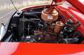 Ford Sonstige CUSTOM DELUXE CONVERTIBLE V8 - Flathead 3,9L Rot - thumbnail 36