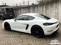 Porsche Cayman 718 Cayman GTS 4.0 |ACC|BOSE|LED|CarPlay|PASM-10 Weiß - thumbnail 5