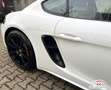 Porsche Cayman 718 Cayman GTS 4.0 |ACC|BOSE|LED|CarPlay|PASM-10 Weiß - thumbnail 47