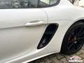 Porsche Cayman 718 Cayman GTS 4.0 |ACC|BOSE|LED|CarPlay|PASM-10 Weiß - thumbnail 46
