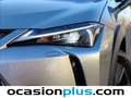 Lexus UX 300h Gris - thumbnail 12