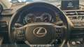 Lexus NX 300 1ª SERIE LEXUS Hybrid 4WD Luxury Wit - thumbnail 14