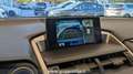 Lexus NX 300 1ª SERIE LEXUS Hybrid 4WD Luxury Wit - thumbnail 18