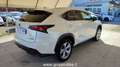 Lexus NX 300 1ª SERIE LEXUS Hybrid 4WD Luxury White - thumbnail 4