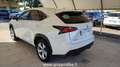 Lexus NX 300 1ª SERIE LEXUS Hybrid 4WD Luxury bijela - thumbnail 6