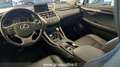 Lexus NX 300 1ª SERIE LEXUS Hybrid 4WD Luxury Bílá - thumbnail 13