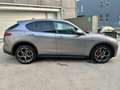 Alfa Romeo Stelvio Stelvio Turbodiesel 2.2 210cv AT8 Q4 VELOCE Grau - thumbnail 8
