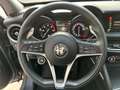 Alfa Romeo Stelvio Stelvio Turbodiesel 2.2 210cv AT8 Q4 VELOCE Grau - thumbnail 11